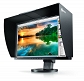 Monitory